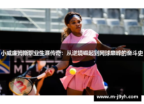 小威廉姆斯职业生涯传奇：从逆境崛起到网球巅峰的奋斗史