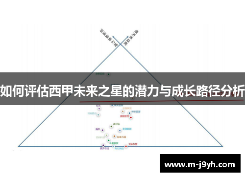 如何评估西甲未来之星的潜力与成长路径分析
