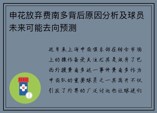 申花放弃费南多背后原因分析及球员未来可能去向预测
