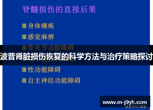 波普肾脏损伤恢复的科学方法与治疗策略探讨